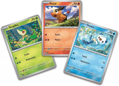 Schwarze Blitze & Weiße Flammen: Unova Poster kollection
